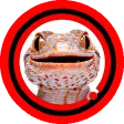 Suara Tokek Mp3