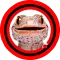Suara Tokek Mp3