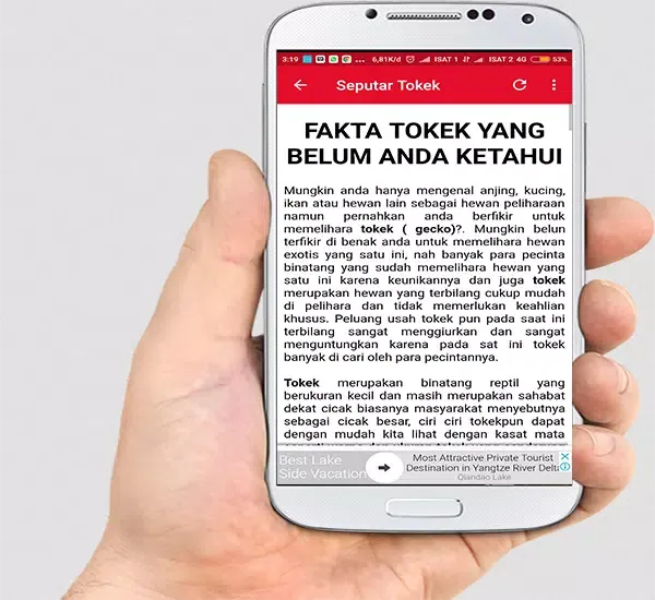 Ảnh chụp màn hình của Suara Tokek Mp3