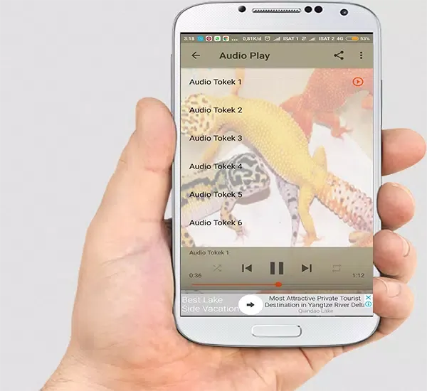 Ảnh chụp màn hình của Suara Tokek Mp3