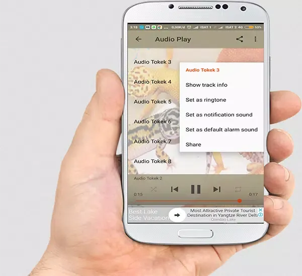 Ảnh chụp màn hình của Suara Tokek Mp3
