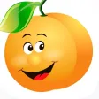 Fruit Castle Fruit Castle