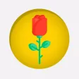 Red Rose Day