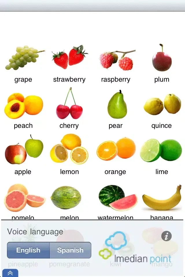 تصاویر VisualAid Food and Drink