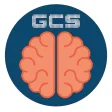Glasgow Coma Scale - GCS