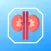 Kidney Stone Scoring