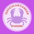 Testicular Cancer Staging
