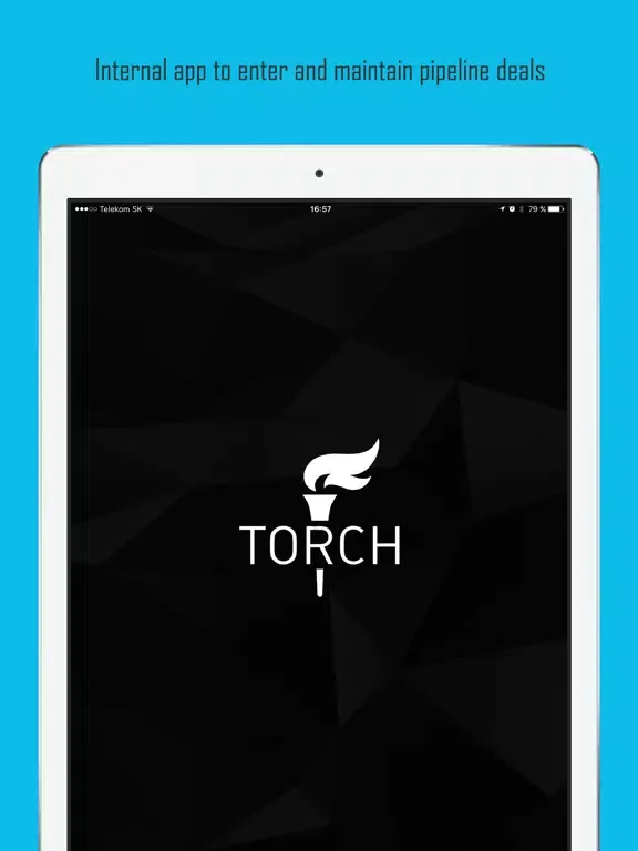Zrzuty ekranu Torch (IMG Media) iPad 