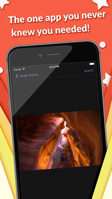 ภาพหน้าจอของ Reverse Image Search by Photo
