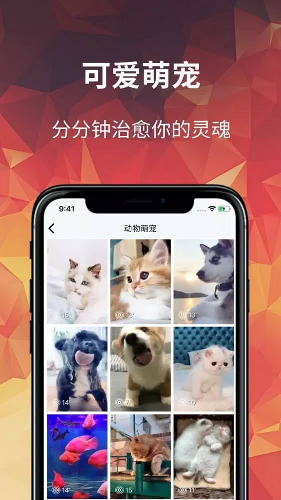 Live Theme Wallpaper Screenshots