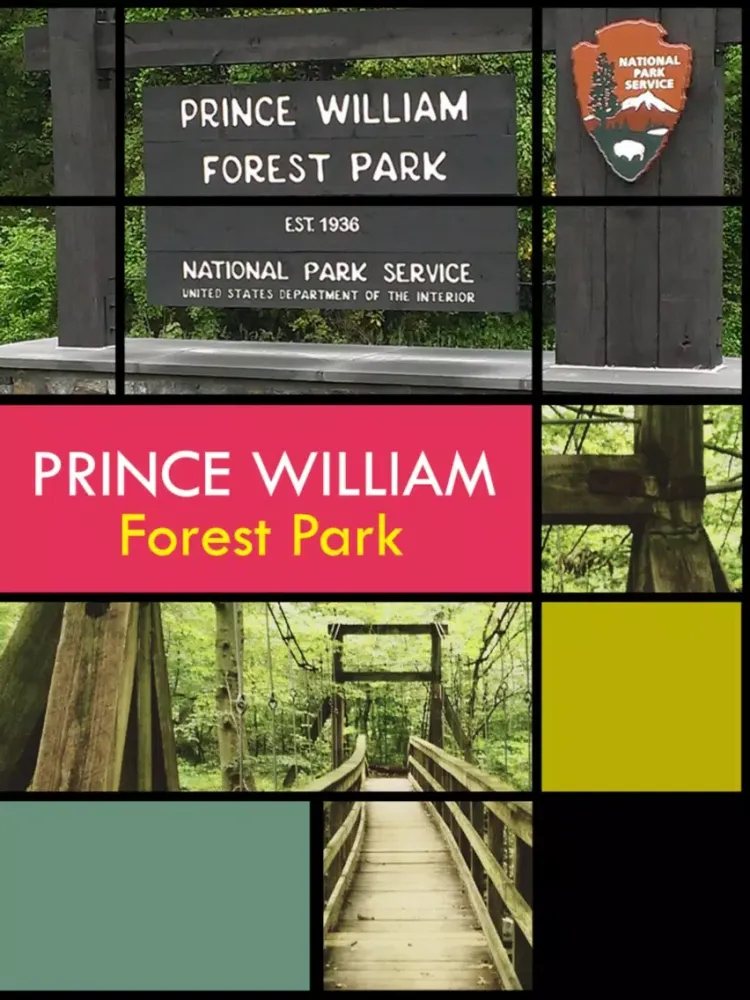 Prince William Park iPad  Ekran Görüntüleri