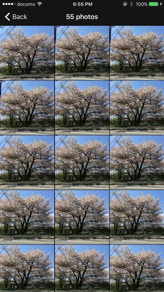 MotionPhoto Lite應用截圖