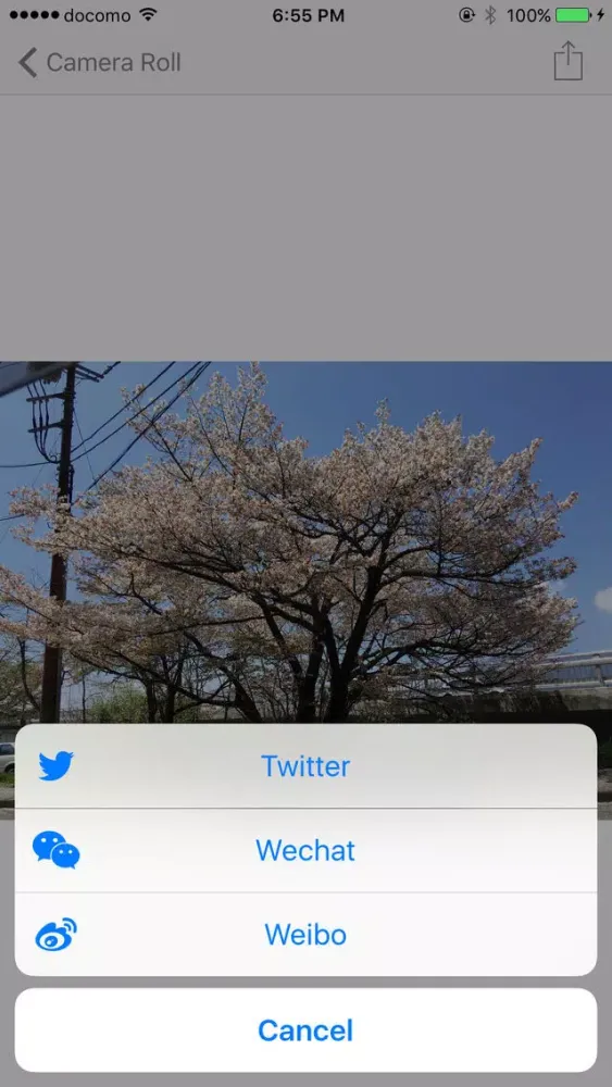 MotionPhoto Lite應用截圖
