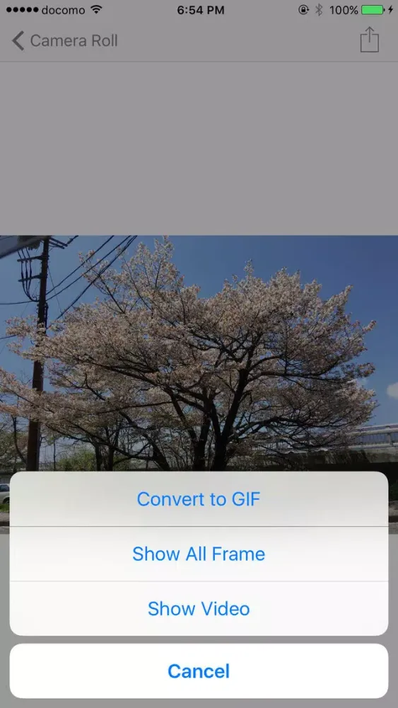 MotionPhoto Lite應用截圖