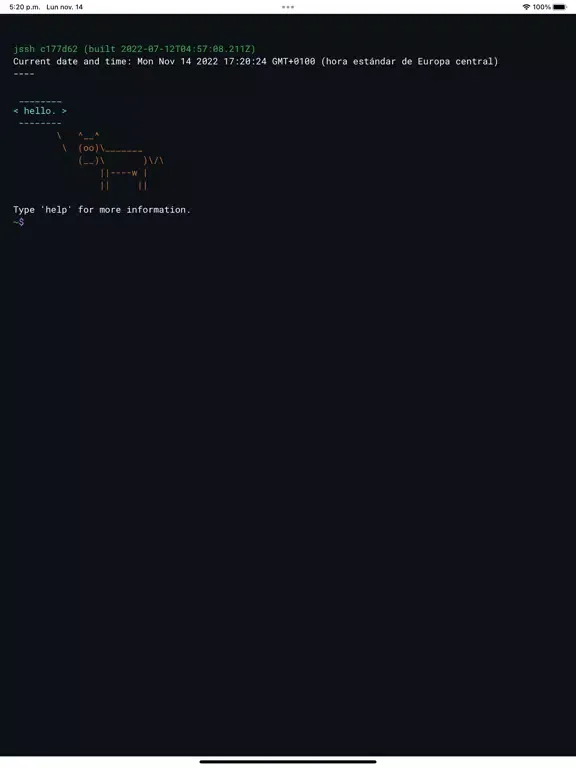 Terminal App test iPad  স্ক্রিনশট