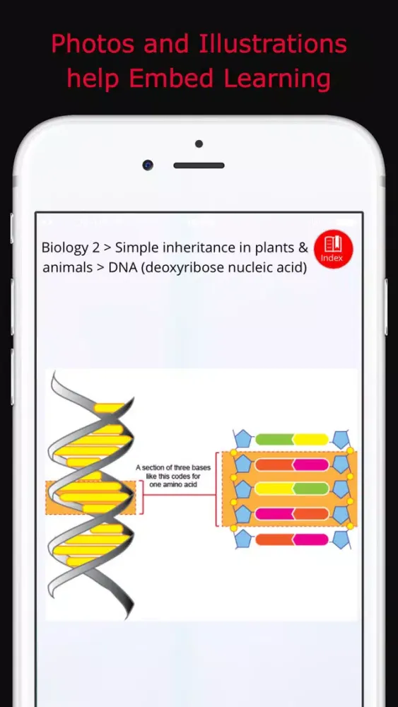 ixplain GCSE Additional Science, Careers & Skills স্ক্রিনশট