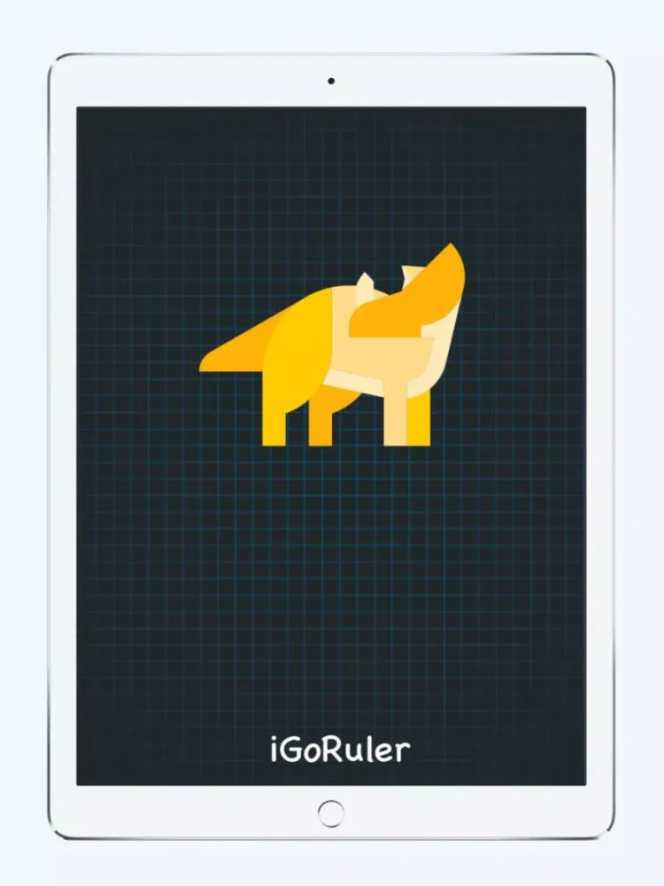 iGoRuler - 三角龙测量一款有格调的AR测量 iPad 應用截圖