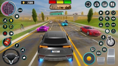 Open World Car Driving-screenshot-2