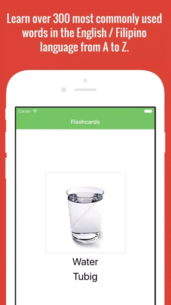 تصاویر Filipino Flashcards with Pictures