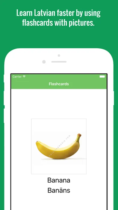 Latvian Flashcards with Pictures Lite スクリーンショット