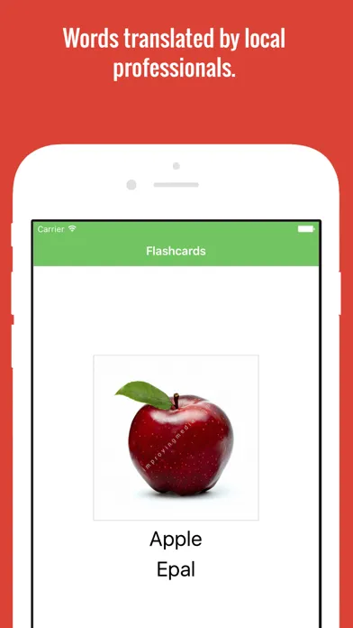 Malay Flashcards with Pictures Lite স্ক্রিনশট