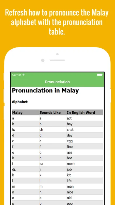 Malay Flashcards with Pictures Lite স্ক্রিনশট