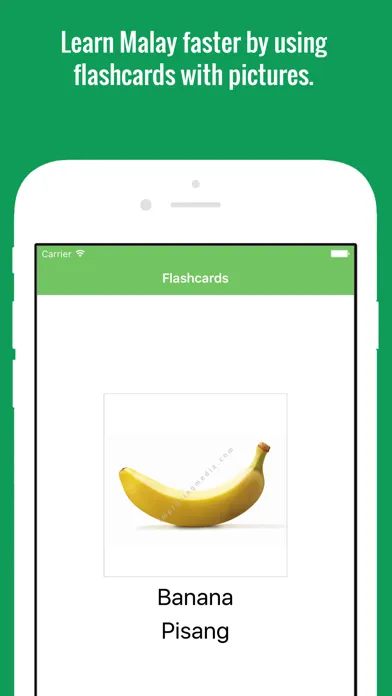 Malay Flashcards with Pictures Lite স্ক্রিনশট