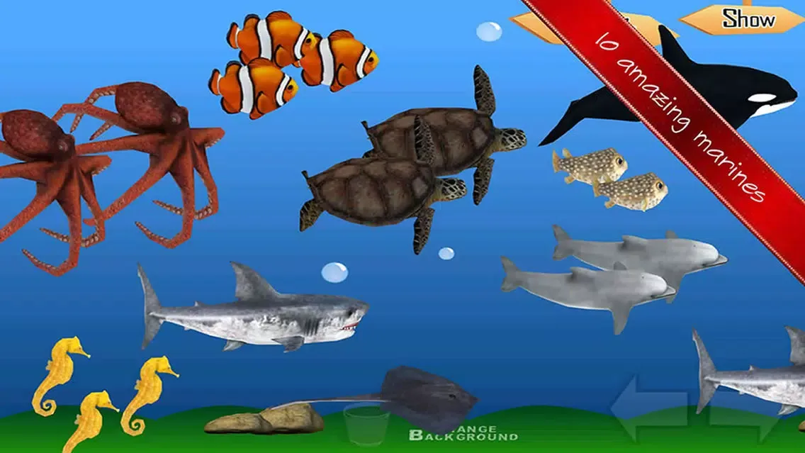 Animals Learn Mathematics - Third Grade Screenshots