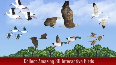 Animal Kingdom Science For Kids スクリーンショット
