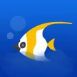 iMyFish--Focus Keeper iMyFish--Focus Keeper