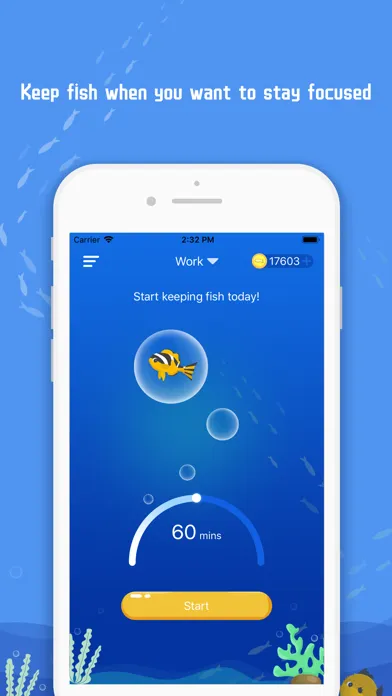 صور iMyFish--Focus Keeper