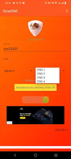 Captures d'écran de VPN Over DNS  Tunnel : SlowDNS