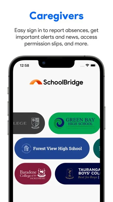 Скриншоты SchoolBridge