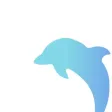 VPN - Dolphin VPN Wifi Proxy