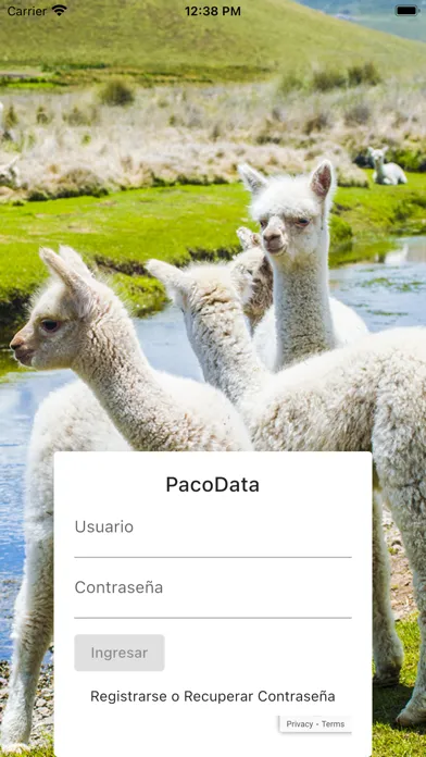 PacoData應用截圖