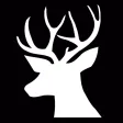 Buck - Betting App