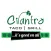 Cilantro Taco Grill