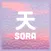 SORA Official