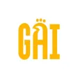 Gai Chicken & Rice