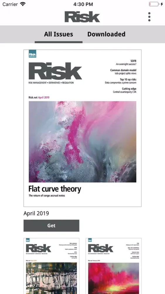 Zrzuty ekranu Risk Magazine