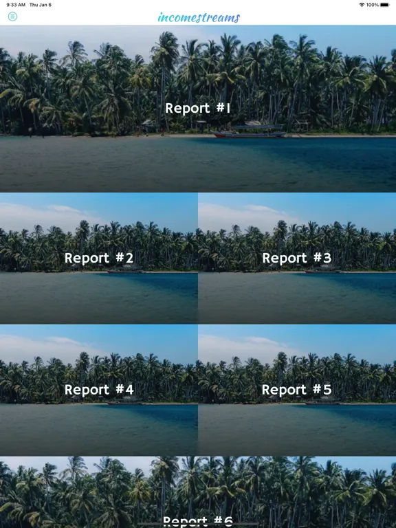 Multiple Income Streams iPad  Screenshots