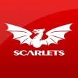 Scarlets Predictor Scarlets Predictor