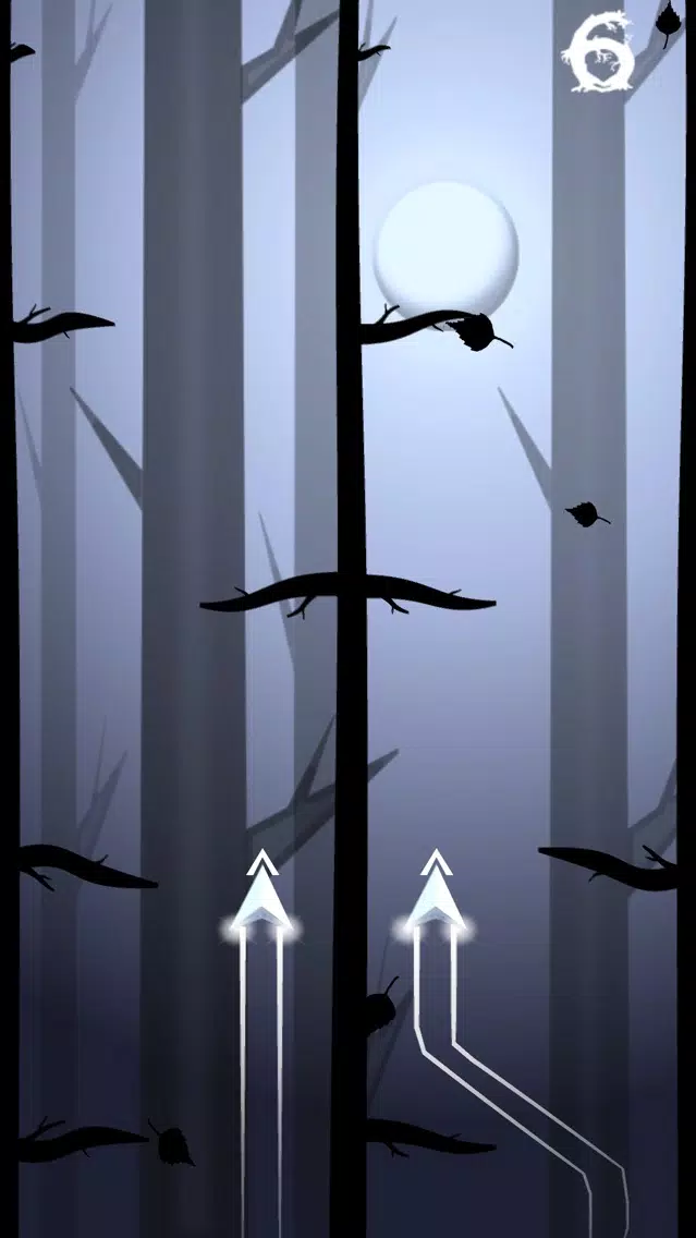 Captures d'écran de Into the Woods - 2 Planes Run