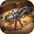 Rising of Ants-Buy 1 Get 10