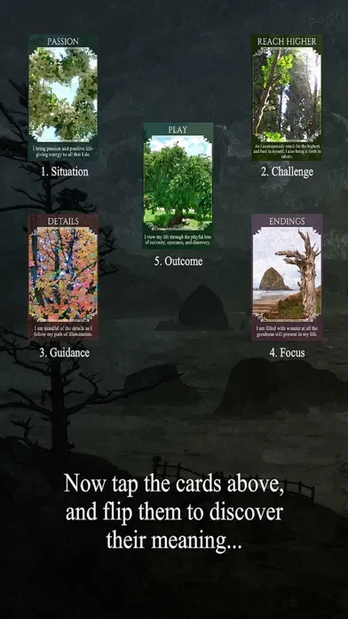 تصاویر Wisdom Within Oracle Cards