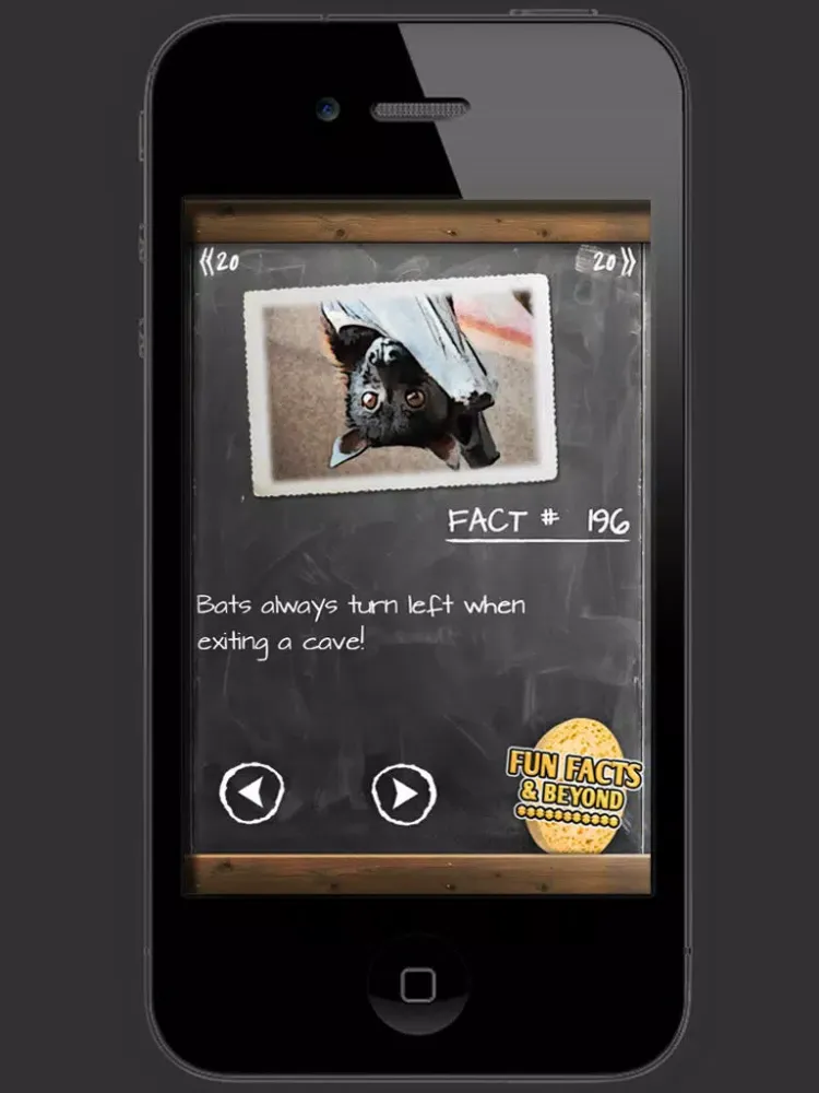 Fun Facts & Beyond iPad  Screenshots