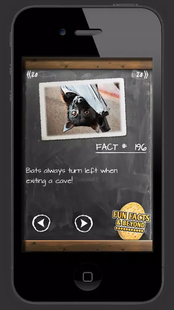Fun Facts & Beyond Screenshots