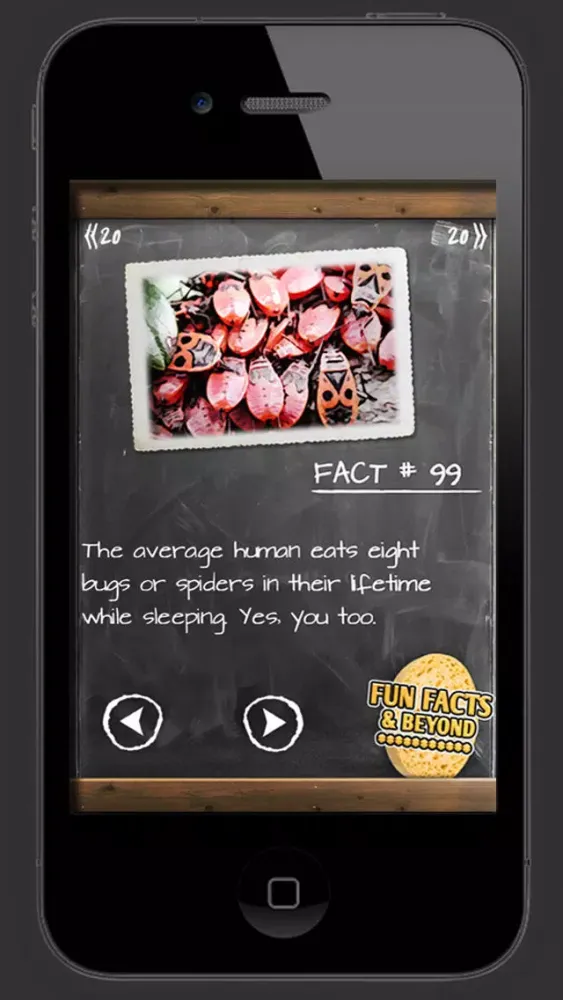 Fun Facts & Beyond Screenshots