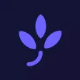 Indigo Health