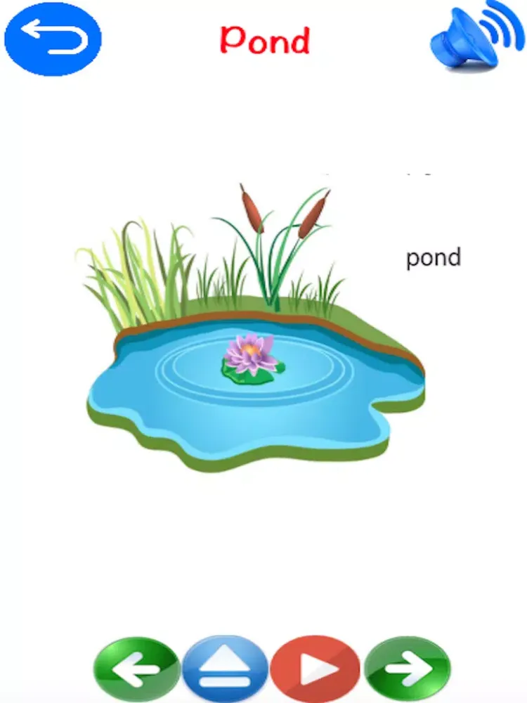 Скриншоты Mother Nature Learning- Flashcards with sounds for Toddlers and kindergarten kids iPad 